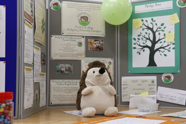 Student information display on hedgehogs
